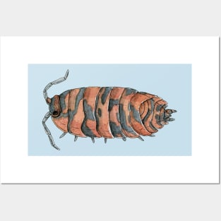 Porcellio scaber "Lava" Isopod Posters and Art